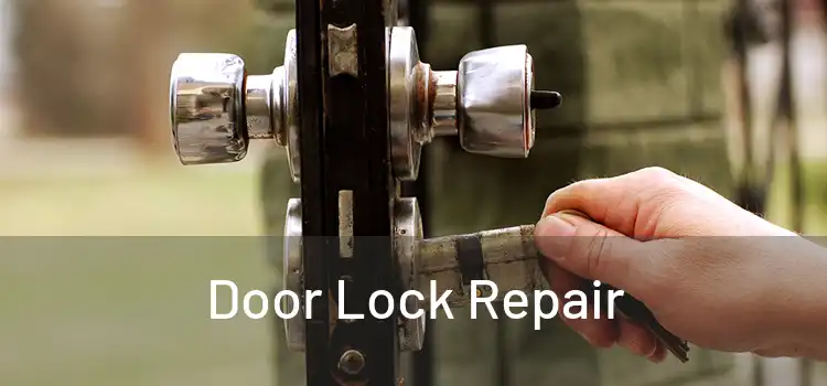  Door Lock Repair 