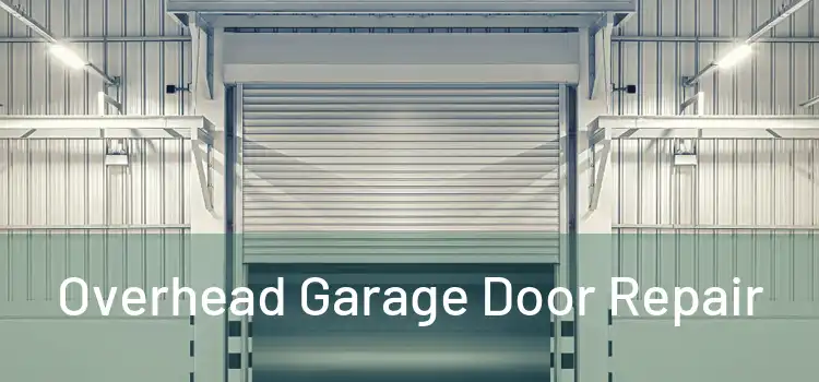  Overhead Garage Door Repair 